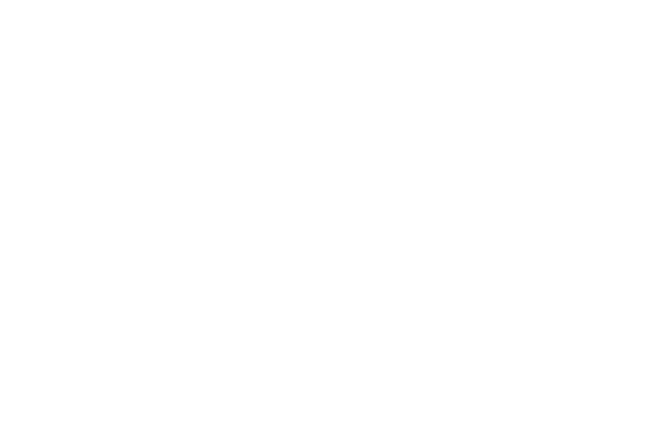有限会社上野屋本店